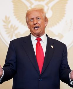 Trump planuje łuk triumfalny. Odwołał członków Komisji Sztuk Pięknych