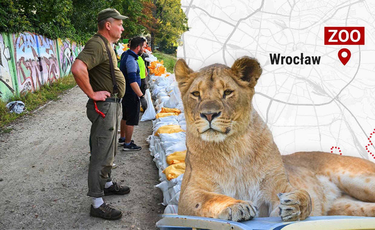 Serce ZOO zagrożone. "Jeżeli wdarłaby się woda, nie udałoby się uratować obiektu"