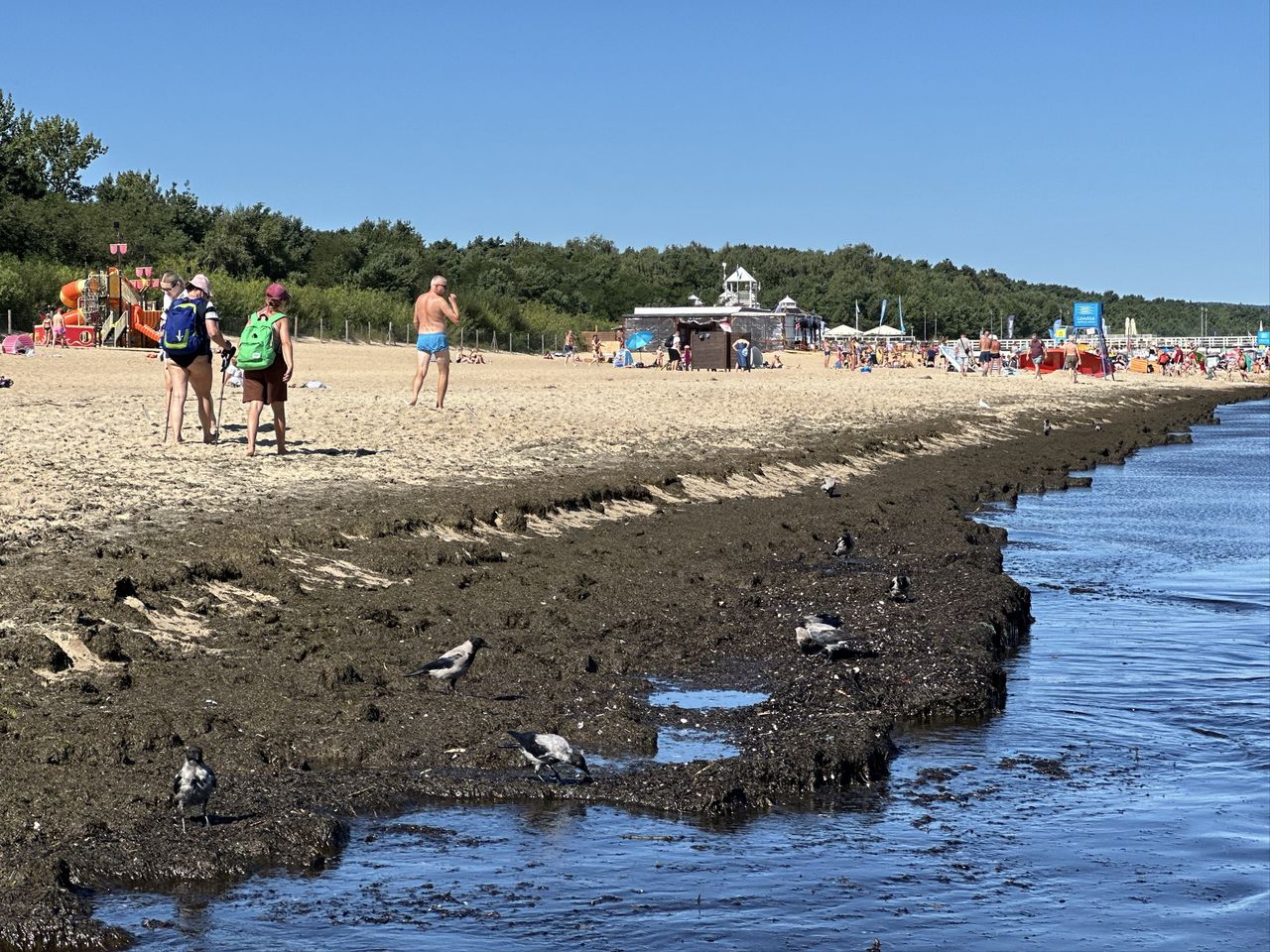 Plaża w Brzeźnie