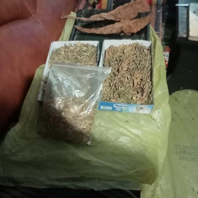 Nielegalna produkcja papierosów w gminie Terespol. Policjanci zabezpieczyli 33 kg tytoniu i uprawę roślin (zdjęcia)