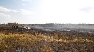 Rolnicy dostaną wsparcie za ochronę torfowisk i terenów podmokłych