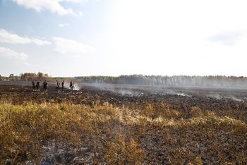 Rolnicy dostaną wsparcie za ochronę torfowisk i terenów podmokłych