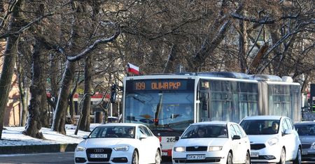 Chciała przewieźć półkę i szynę autobusem miejskim. Została wyproszona