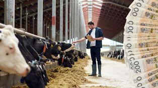 Premia dla młodych rolników 2026. Warunki decydują o pieniądzach