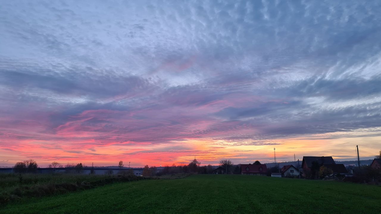 Zdjęcie wykonane w niedzielę, 15 listopada, ok. godz. 16