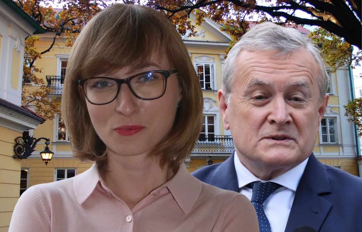 W czerwcu 2020  Piotr Gliński oficjalnie powołał Barbarę Schabowską na stanowisko dyrektora Instytutu Adama Mickiewicza