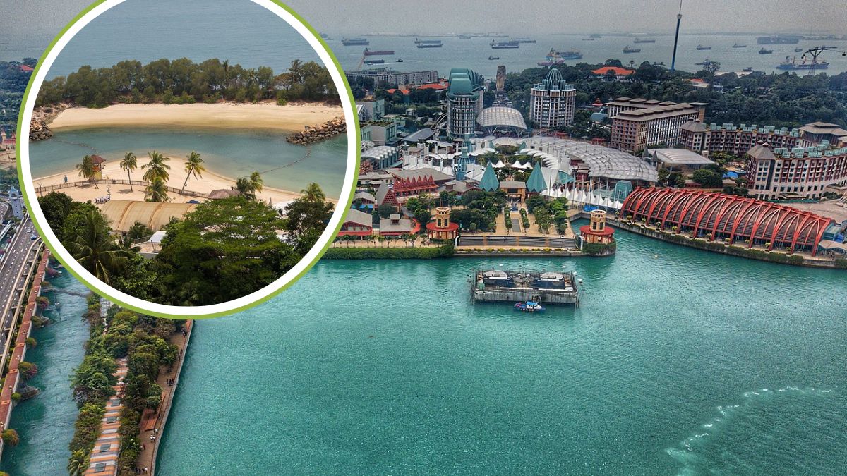 Na popularnej plaży u wybrzeży Singapuru doszło do wycieku ropy