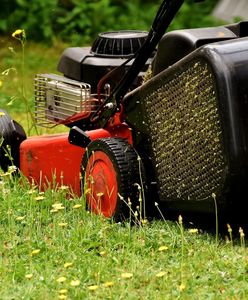 W "dni smogowe" nie skosisz trawnika. Prawnik wyjaśnia, jak zawalczyć o odszkodowanie