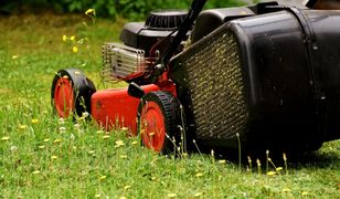 W "dni smogowe" nie skosisz trawnika. Prawnik wyjaśnia, jak zawalczyć o odszkodowanie