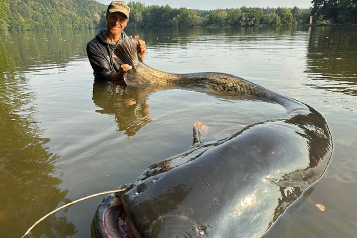 Czeski wędkarz pobił rekord. Zobaczcie, co wyłowił