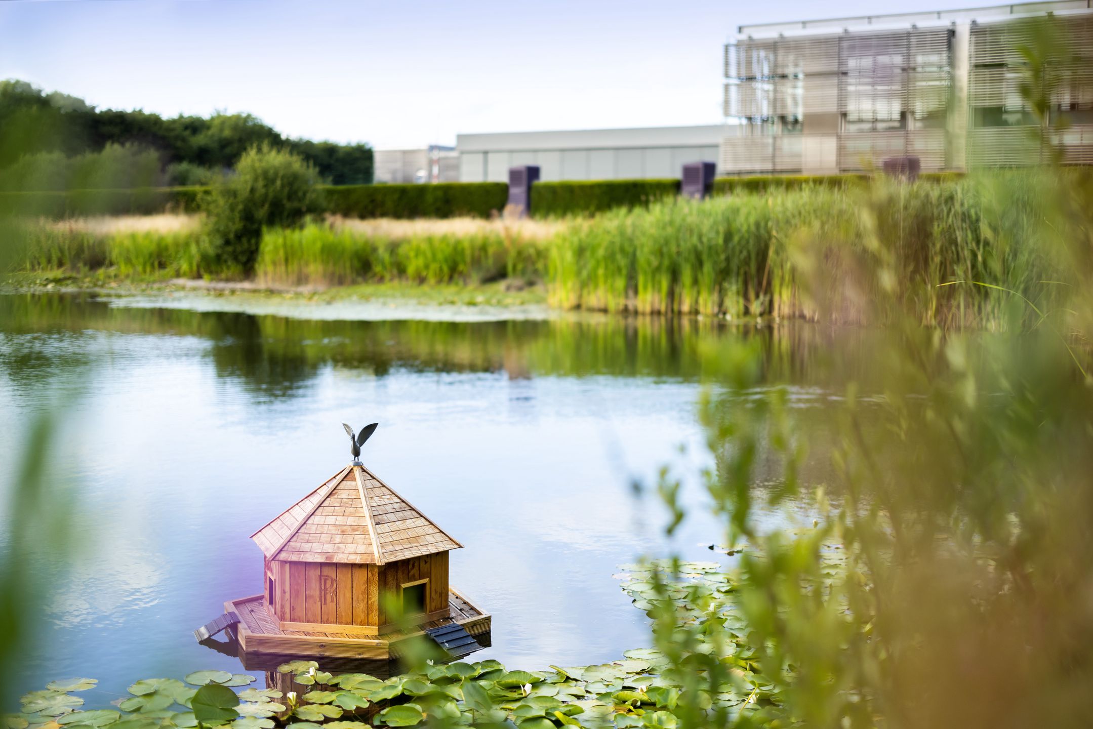 Fabryka Rolls-Royce'a w Goodwood