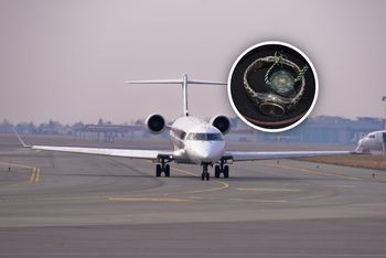 Przyleciała z Dubaju, dostała 100 tys. zł kary. Oto co ukryła w bagażu
