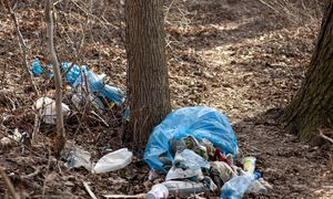 Nawet 5 tys. zł kary. Tyle może kosztować wyrzucanie śmieci w lesie