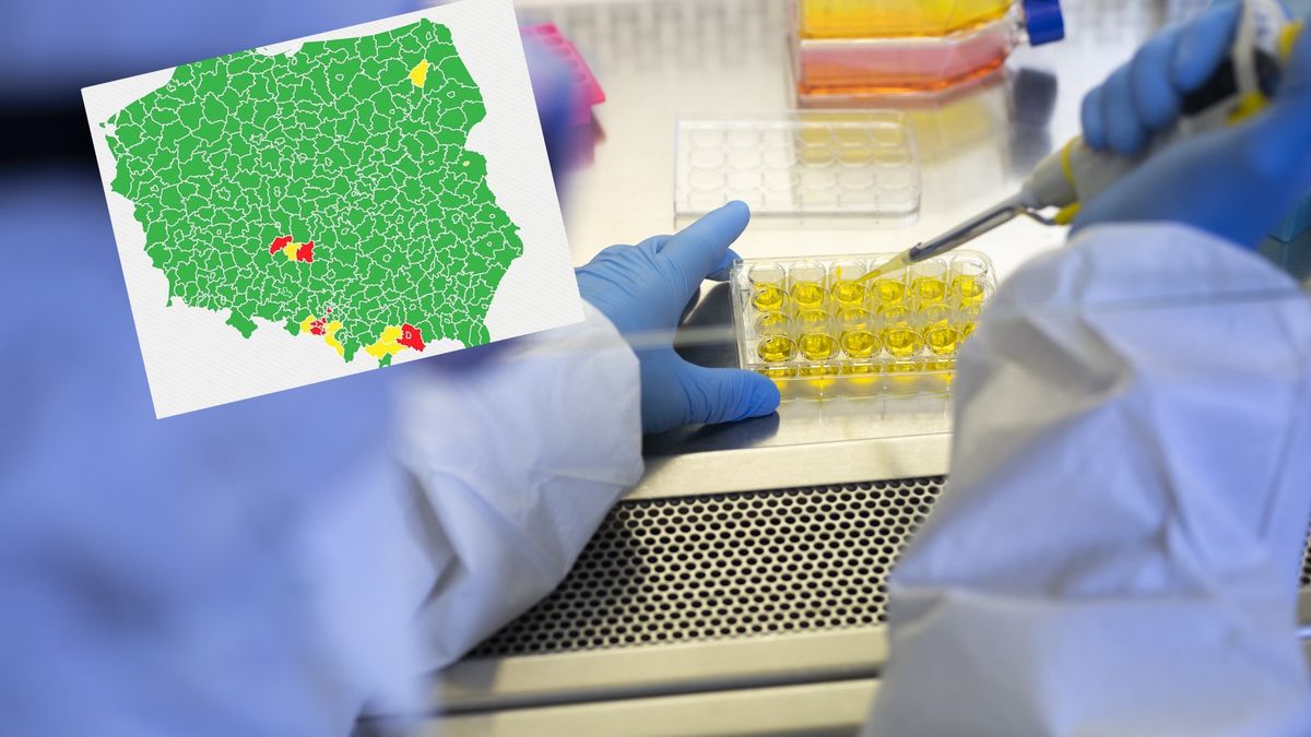 Koronawirus. Strefy czerwone i żółte w Polsce