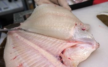 Mamy pod ręką, a jemy rzadko. Najzdrowsza polska ryba