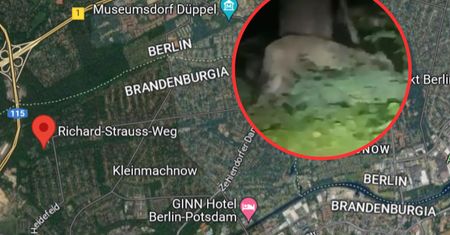 Mieszkańcom kazano siedzieć w domach. Trwa obława na lwa