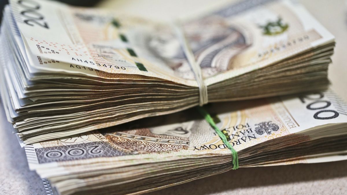 reporter_stock
15.06.2016 Zielona Gora Pieniadze banknoty zlotowki dwusetki dwiescie zlotych   fot. Piotr Jedzura/REPORTER
Piotr Jedzura/REPORTER