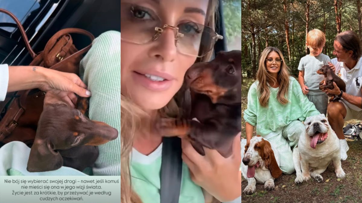 Małgorzata Rozenek kupiła psa z hodowli. Już się tłumaczy