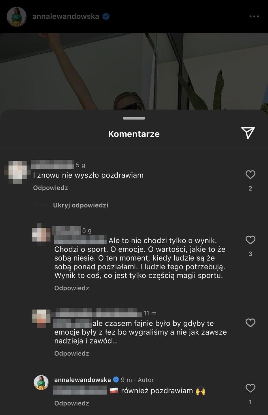 Anna Lewandowska odpowiada na komentarz internauty