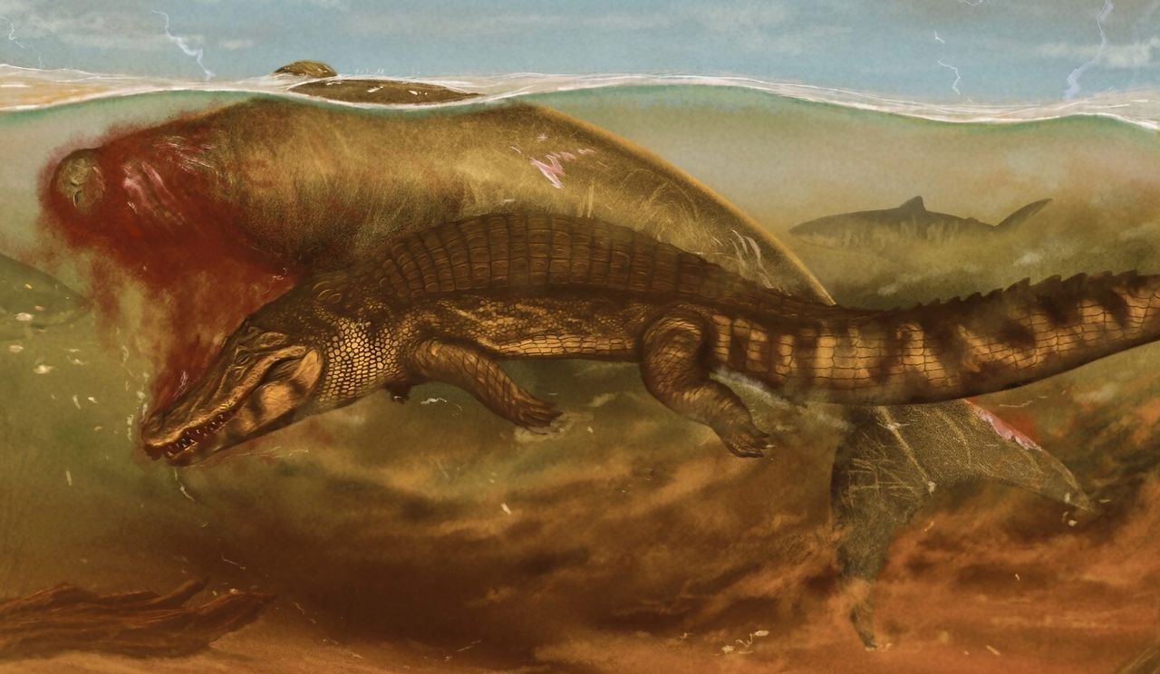 Prehistoric sea cow's death revealed: Attacked by crocodile, devoured by shark