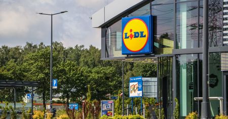 Promocja w Lidlu. Kup 16 piw, zapłać za połowę