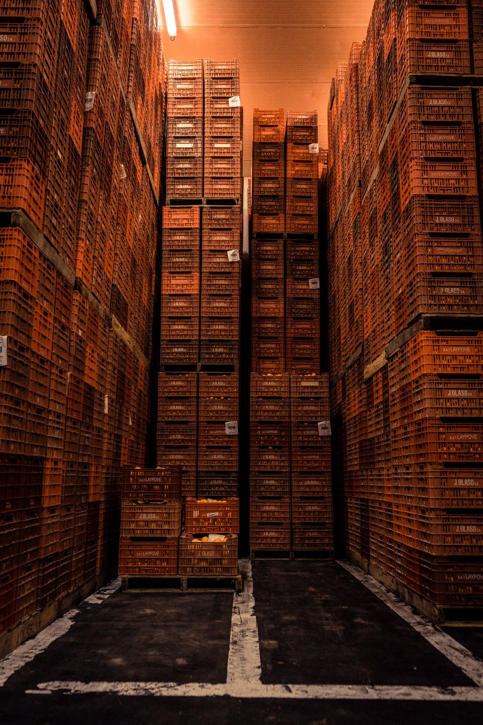 Kontrowersyjny materiał o samobójstwach wygrał Sony World Photography Awards 2019 145