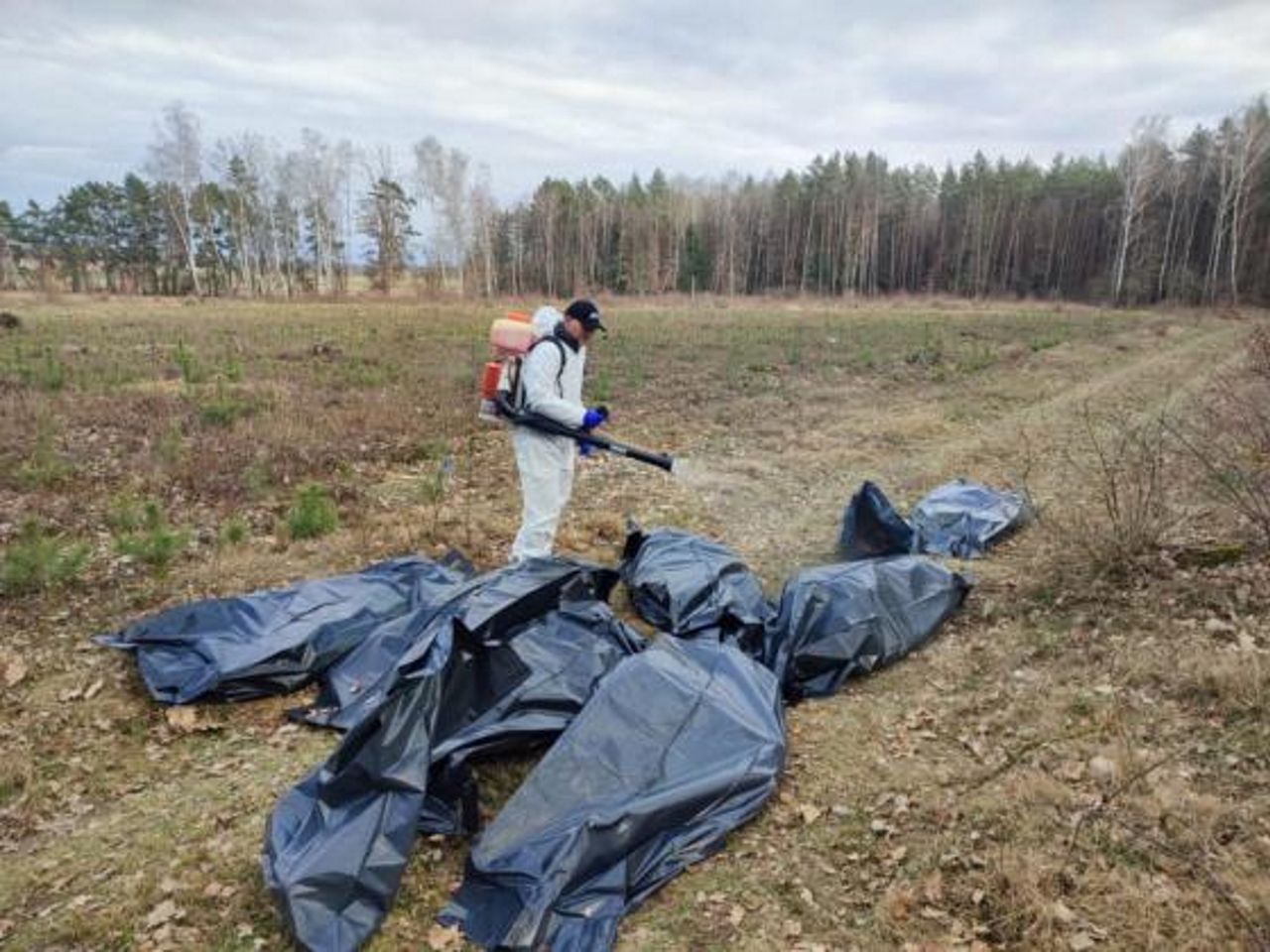 Makabryczne znalezisko w lesie w Nidzicy. 700 martwych stworzeń
