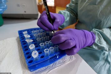 Chora na ebolę trafiła do Szwajcarii. Wcześniej przebywała w Nigerii