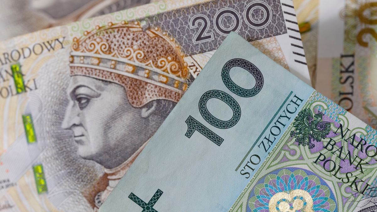 W czwartek 25 sierpnia ruszają wypłaty czternastych emerytur 