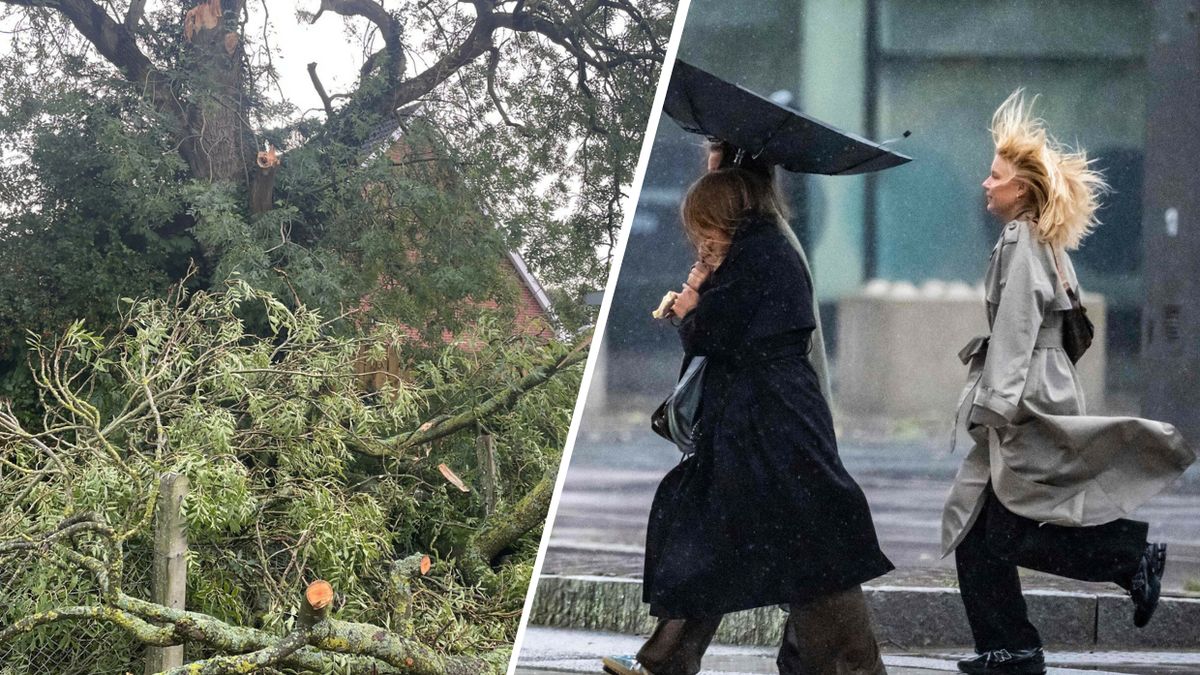   Sztorm Amy we Francji. Dwie ofiary śmiertelne i tysiące bez prądu. Zdj. poglądowe