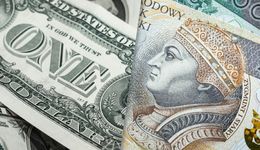 Dolar znów pod presją. Złoty znowu góruje nad amerykańską walutą