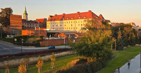 Pogoda w Toruniu. Prognoza na niedzielę 1 lutego. Silny mróz i bezchmurne niebo