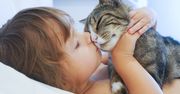 Czy można całować kota? Specjalista nie ma dobrych wieści
