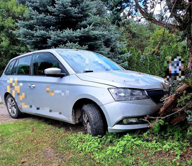 Nie zatrzymał się do kontroli, uciekał i uderzył w drzewo. Na początek 5300 zł mandatu (zdjęcia)