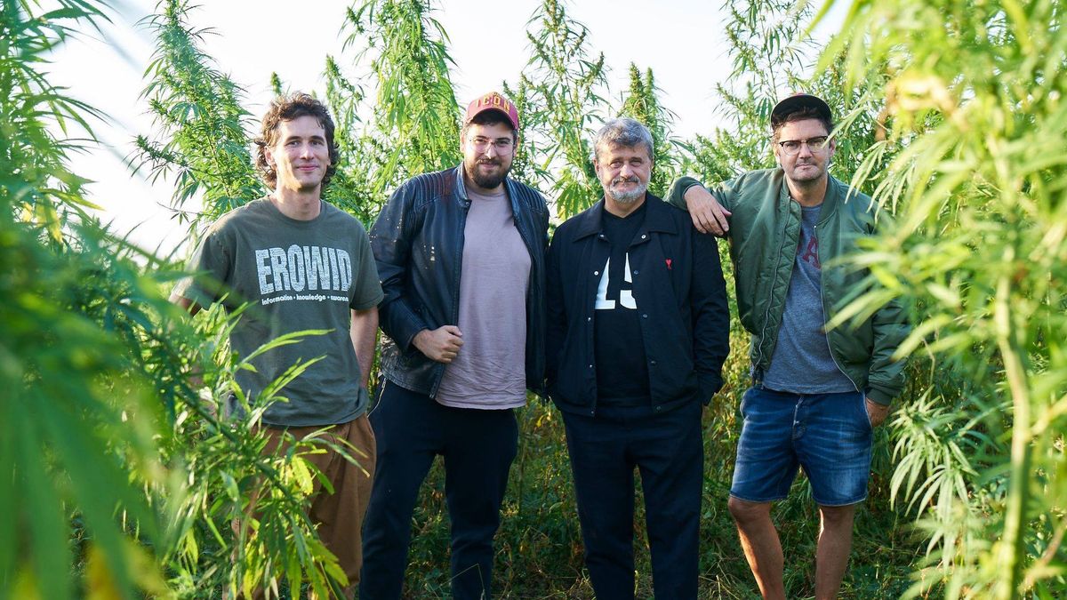 BUH od Janusza Palikota i Kuby Wojewódzkiego ma zostać w przyszłości rozszerzony o THC.