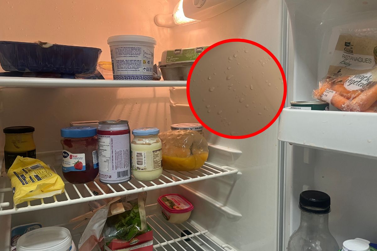 How to deal with moisture in the fridge?