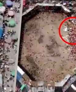 Co za dramat. Zabici i ranni podczas walki byków w Kolumbii