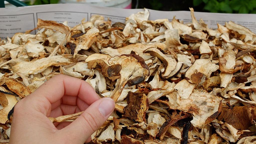 Namocz suszone grzyby w mleku, zmiękną dwa razy szybciej. 