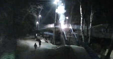 Wściekli się nie na żarty. Jest nagranie z kamery zoo we Wrocławiu
