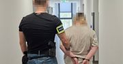 Porzucili psy w lesie i uciekli. 19-latka i jej partner z zarzutami znęcania się nad zwierzętami