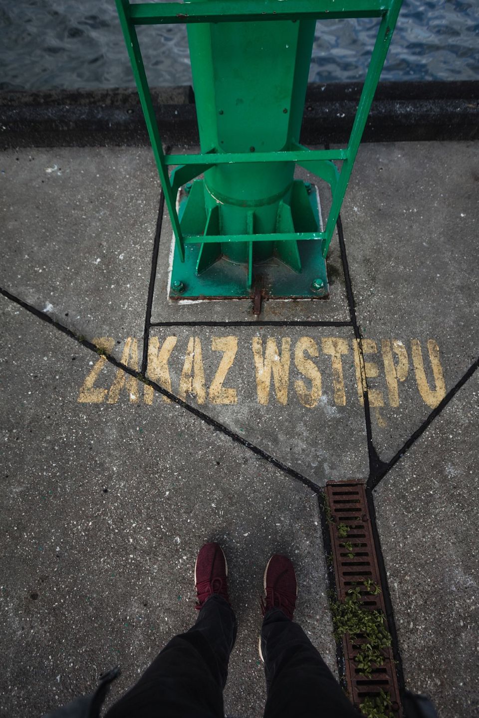 Zdjęcie ilustracyjne do artykułu