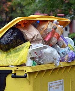 Mandat to aż 5 tys. zł. Nie wyrzucaj tego do śmietnika