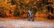 Poznań: Rowerowa wyprawa. Jesienny rajd Doliną Cybiny