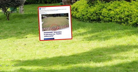 "Totalne zaskoczenie". Zdziwił się odkryciem w ogrodzie