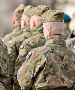 Sprawdzili paszporty. Wojsko polskie nie całkiem polskie