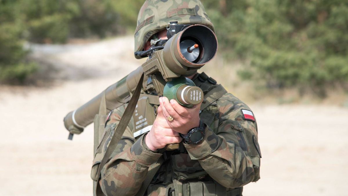 Francja kolejnym państwem zainteresowanym kupnem "Piorunów"