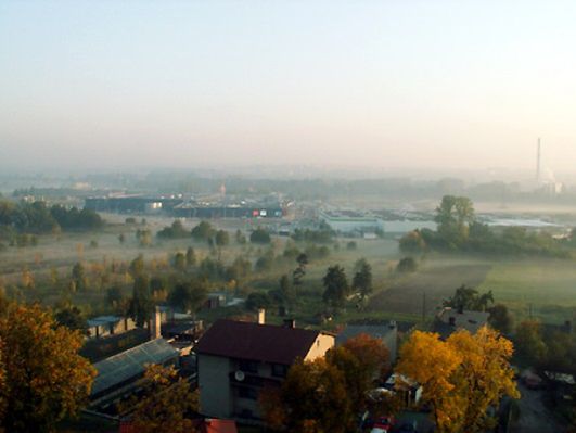 Obraz