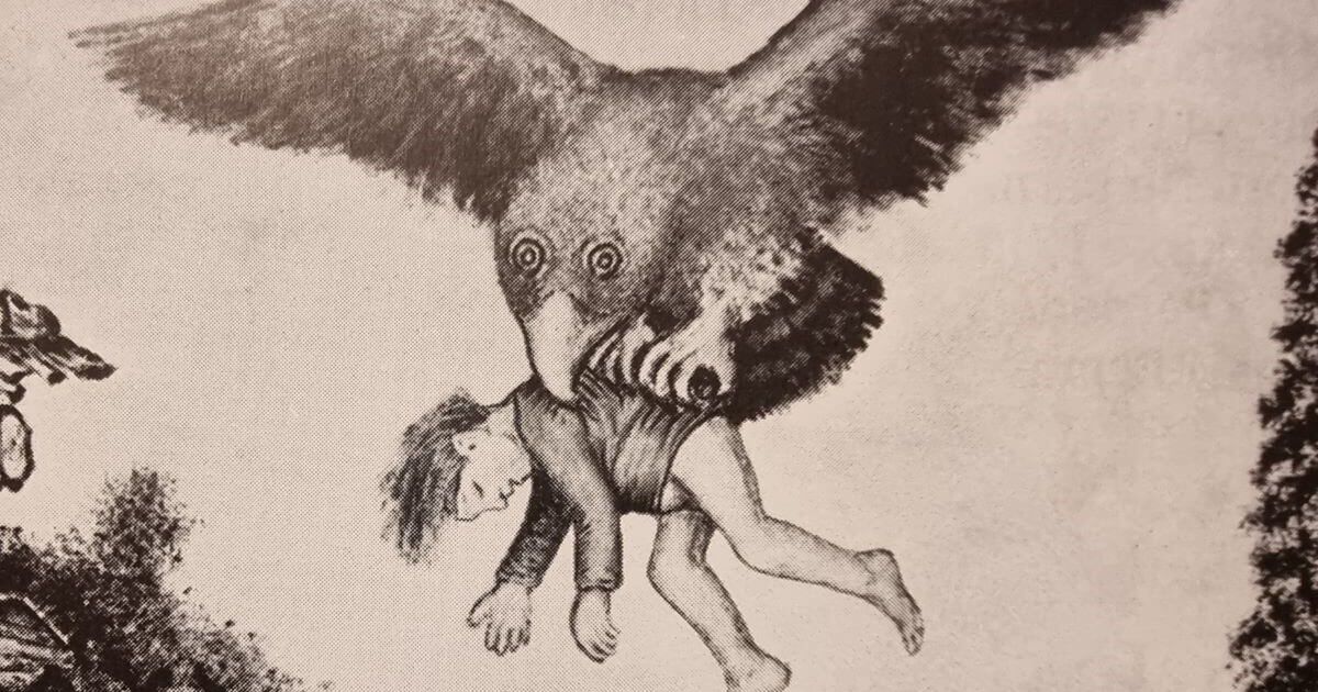 Ilustracja poglądowa