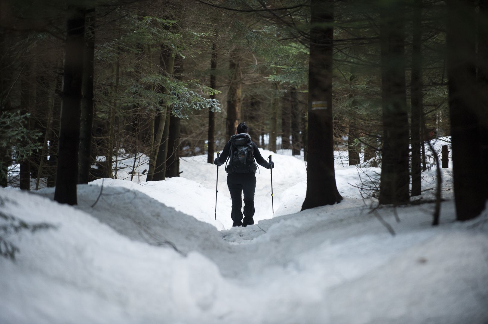 Beskidy. Warunki na szlakach dobre tylko w dolinach