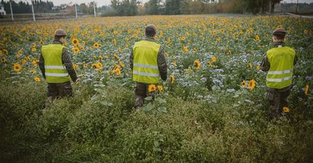 Policjanci, ŻW i WOT przy Zalewie Zemborzyckim. Akcja poszukiwawcza po zgłoszeniach mieszkańców